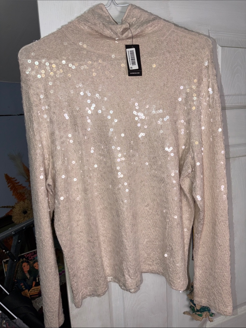 Express Blush Sequin Mock Neck Pullover